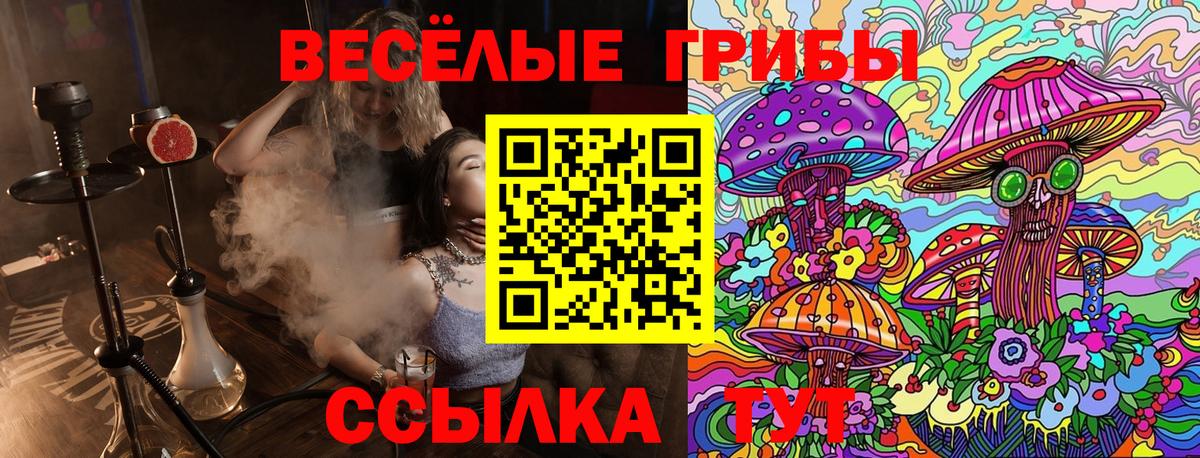 Узловая  Галлюциногенные грибы GOLDEN TEACHER  Вход с VPN 