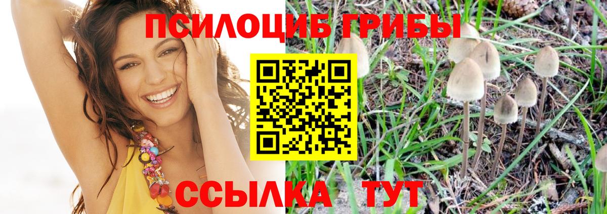 Codein Узловая